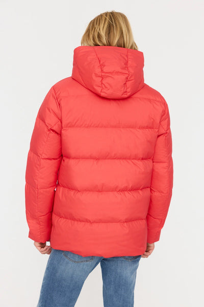 FOSFO SHORT - Men's down puffer jacket court - AK20051