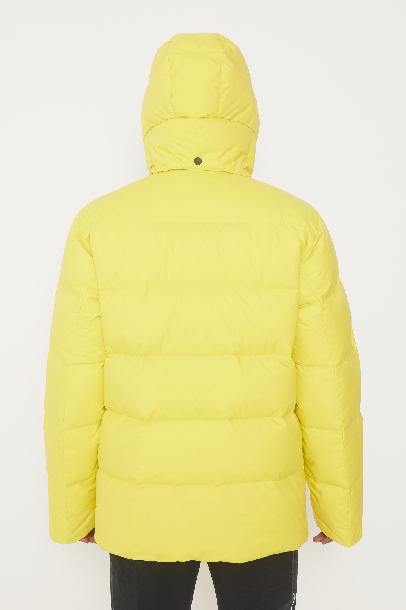 FOSFO SHORT - Men's down puffer jacket court - AK20051